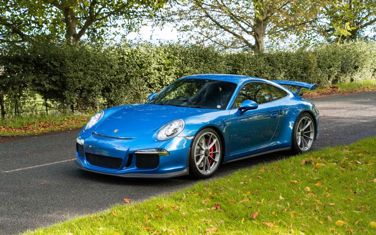 991.2 GT3 -18