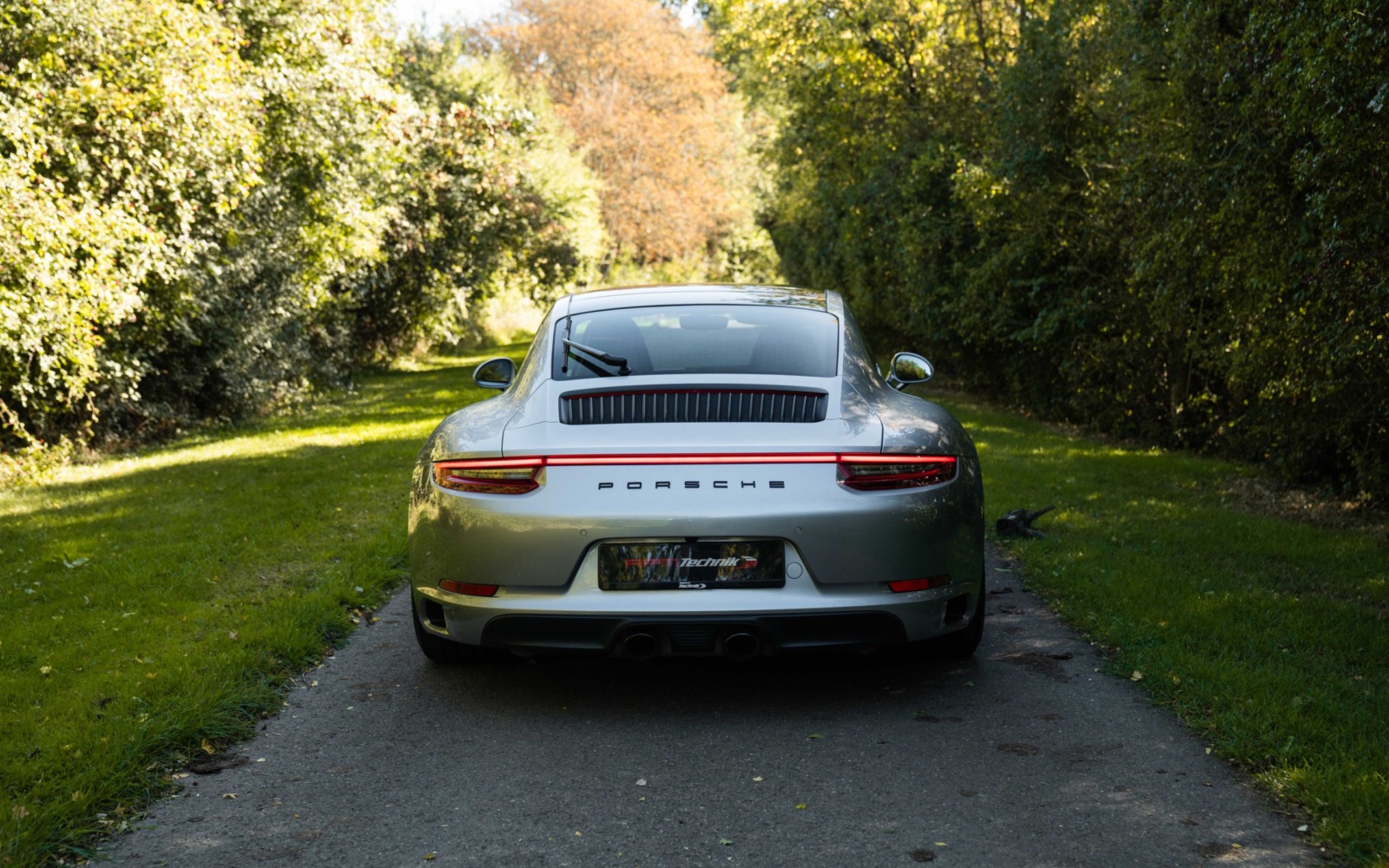 991.2 GTS 6